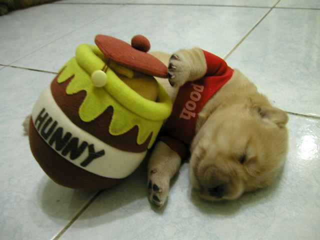 WinnieThePooh.jpg