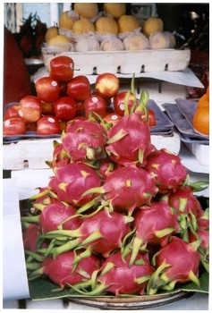 Hue - dragonfruit.jpg
