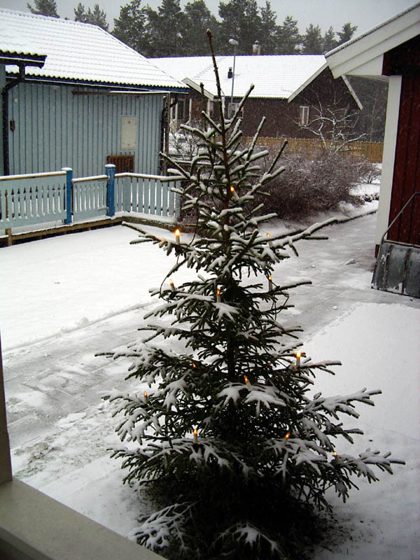 IMGP0302.JPG