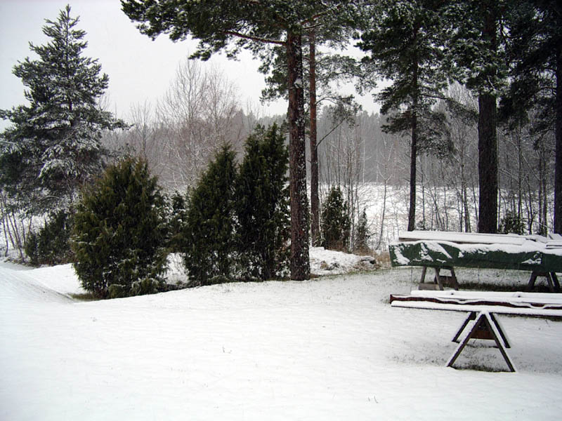 IMGP0304.JPG