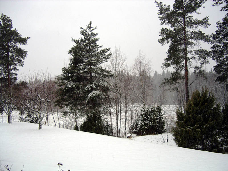 IMGP0308.JPG