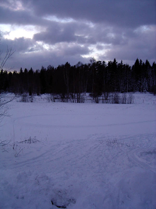 field_outside_my_house.jpg