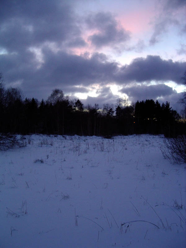 beutiful_sky.jpg