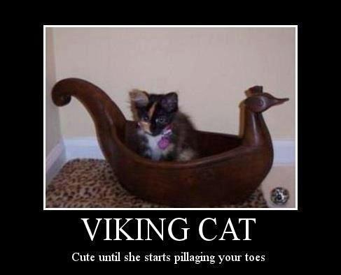 viking cat 580814_10151483070019392_303365512_n.jpg