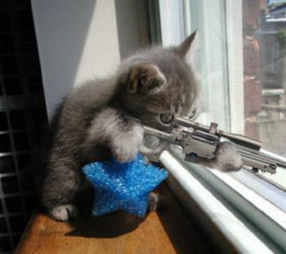 Dog Sniper.jpg
