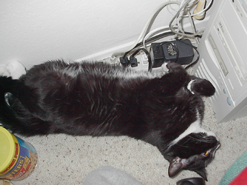 IM001198-2.jpg