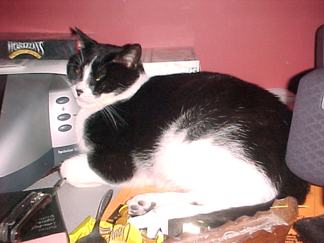 pernprinter1.JPG