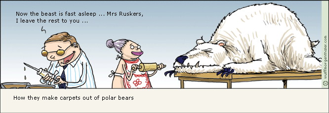 Polar Bear.gif