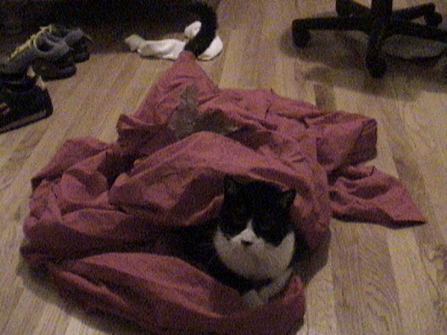 DSC00009.JPG