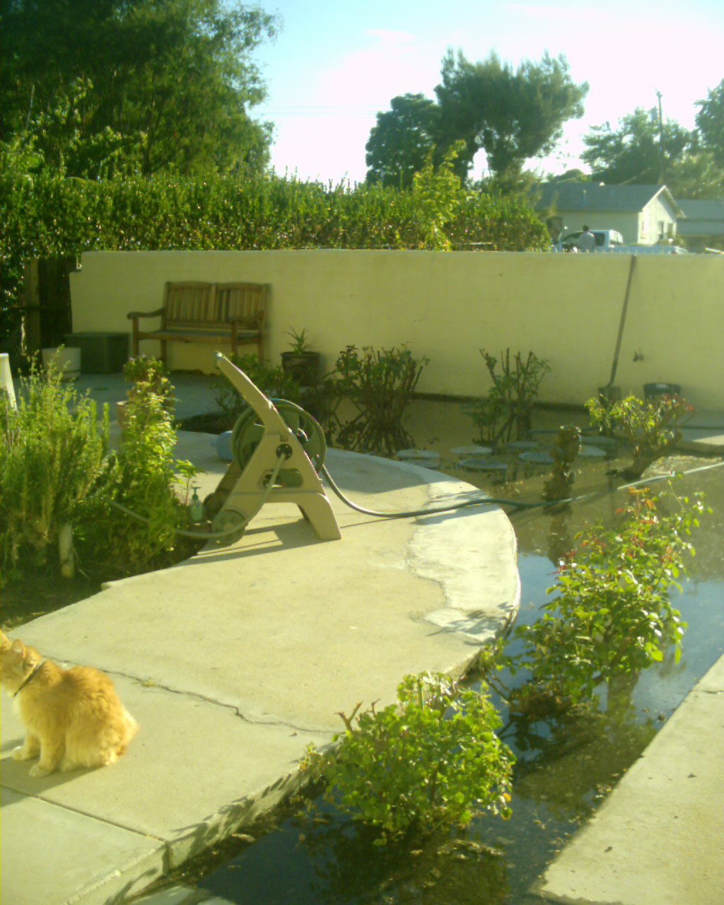 May 007.jpg