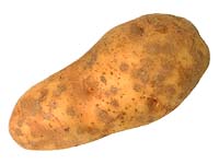 19970429-potatoe.jpg