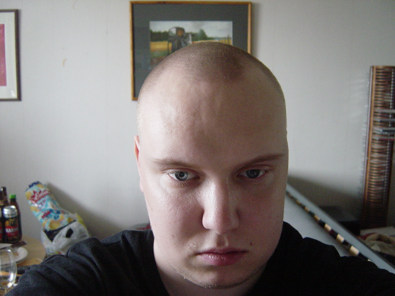 morning glory.JPG
