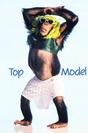 Topmodel.jpg