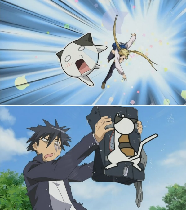 Nyan Block.jpg
