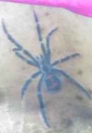 Ickkwidow.jpeg