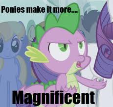images.jpg