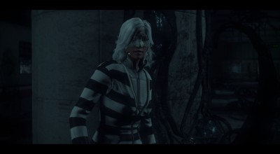 hikari.jpg
