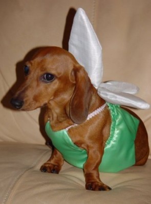 badgerprincess.jpg (24.91 KiB) Viewed 3137 times badgerprincess.jpg