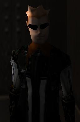 Shade.JPG